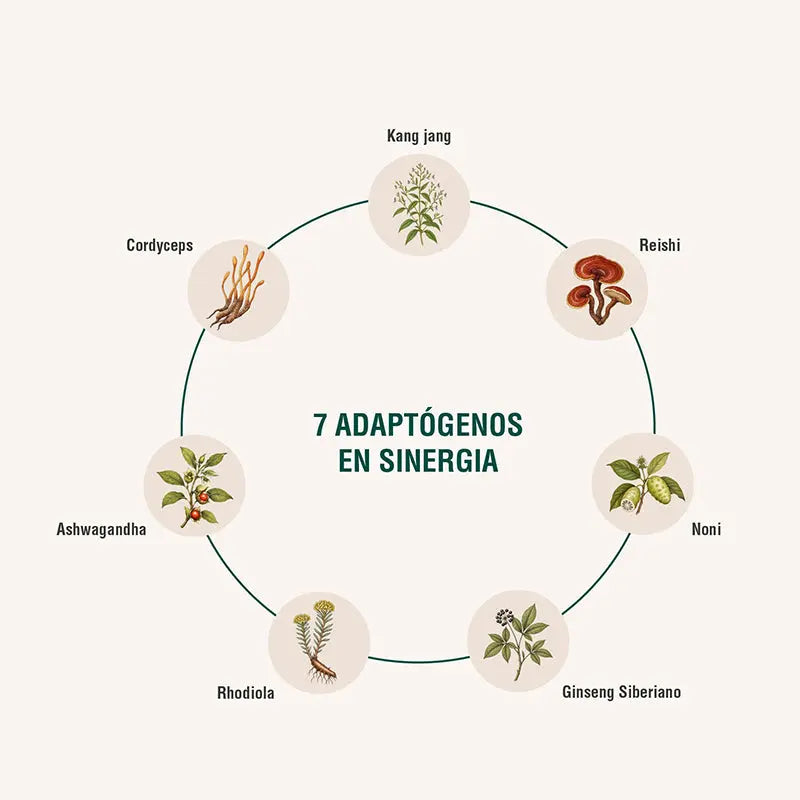 Immodulator Adaptoheal
