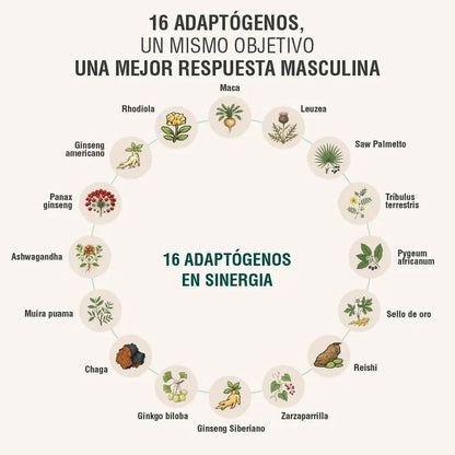 Menheal Adaptoheal