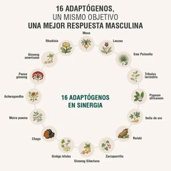 Menheal Adaptoheal
