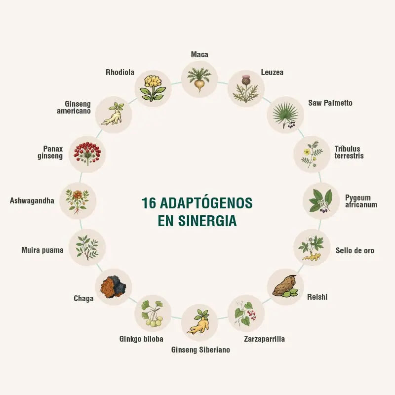 Menheal Adaptoheal