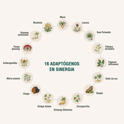 Menheal Adaptoheal