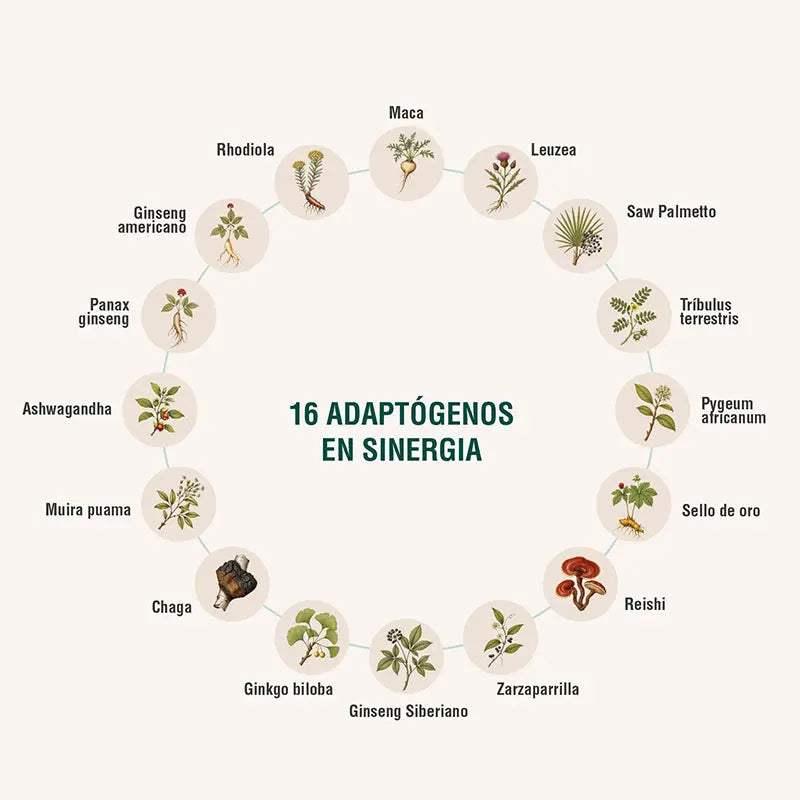 Menheal Adaptoheal