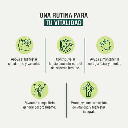 Vitalidad y Equilibrio Adaptoheal
